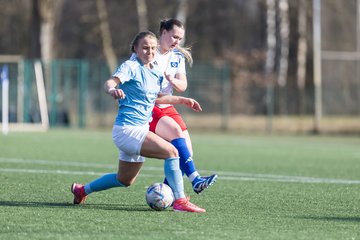 Bild 132 - F Hamburger SV 3 - Blau-Weiss 96 : Ergebnis: 5:1